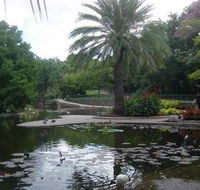 Brisbane City Botanic Gardens - Darwin Holiday