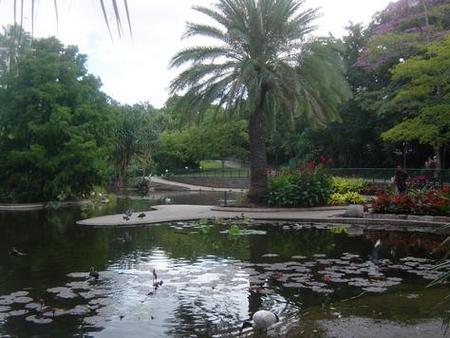 Brisbane City Botanic Gardens - Darwin Holiday 0