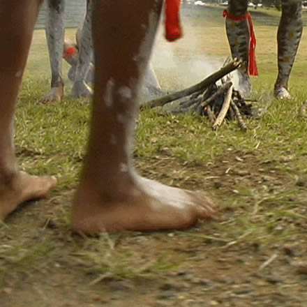 Musgrave Park Cultural Centre - Darwin Holiday 1