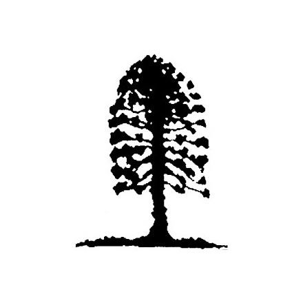 Musgrave Park Cultural Centre - Darwin Holiday 2