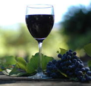 Lion Mill Vineyards - Darwin Holiday
