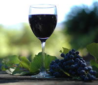 Lion Mill Vineyards - Darwin Holiday 0