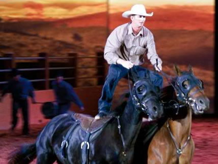 Australian Outback Spectacular - Darwin Holiday 1