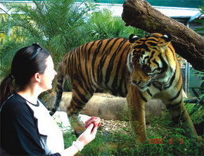 Crocodylus Park - Darwin Holiday 1