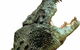 Crocodylus Park - thumb 3