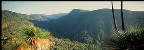 Lamington National Park And OReillys - Darwin Holiday 1