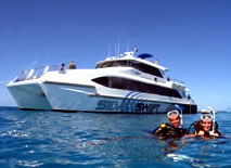 Silver Swift - Darwin Holiday 0