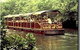 Daintree Rainforest River Trains - thumb 0