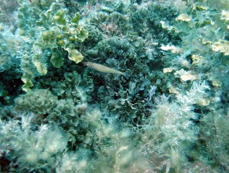 Underwater Sports Diving Centre - Darwin Holiday 3