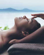 Body, Mind & Soul - Darwin Holiday 1