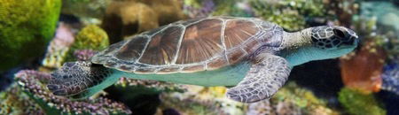 Melbourne Aquarium - Darwin Holiday 1