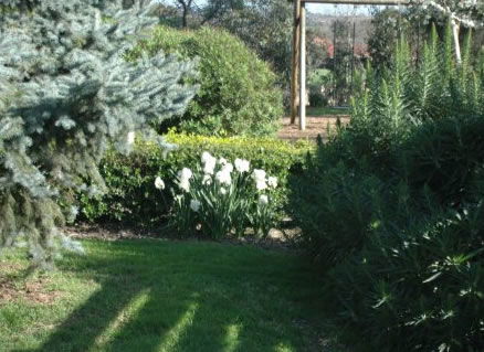 The Old Cheese Factory - Darwin Holiday 2