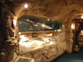 The National Opal Collection - Darwin Holiday 2