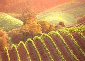 Meridian Tours - Darwin Holiday 2