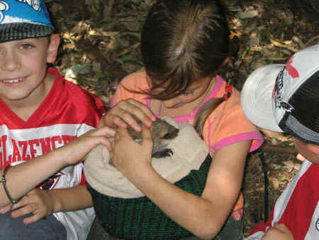 Koala Park Sanctuary - Darwin Holiday 3