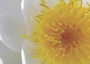 Crown Spa - Darwin Holiday 2