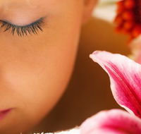 Temple Skincare - Darwin Holiday