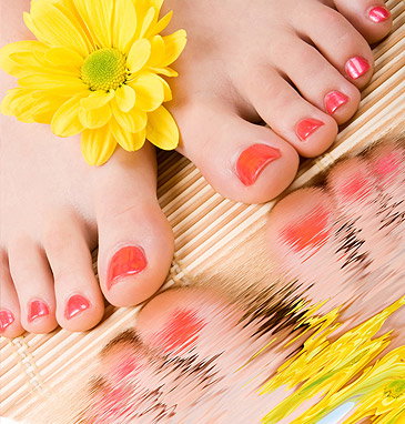 Heavenly Oasis Hair & Beauty Day Spa - Darwin Holiday 2