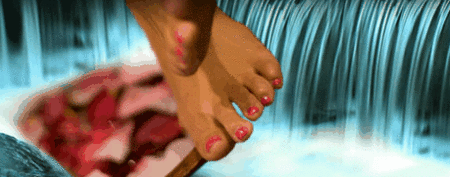 Cove Spa - Darwin Holiday 6