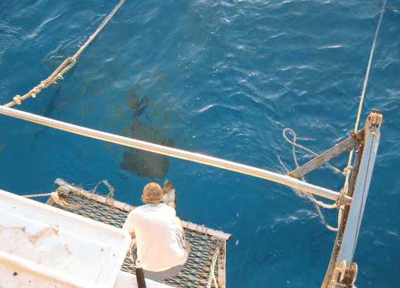 Carlo Fishing Charters - Darwin Holiday 4