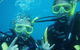 Snorkel Safari Brisbane - thumb 5