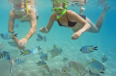 Australian Kayaking Adventures - Darwin Holiday 2