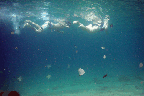 Australian Kayaking Adventures - Darwin Holiday 5