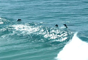 Beach Trekkers North Stradbroke Island - Darwin Holiday 2