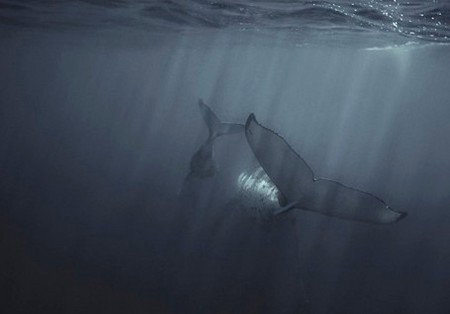 Eleven40 Gallery - Darwin Holiday 4