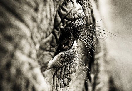 Eleven40 Gallery - Darwin Holiday 5