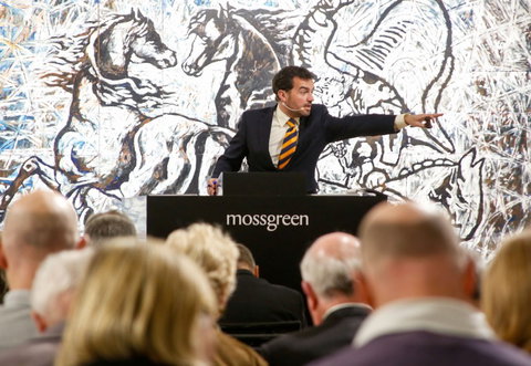 Mossgreen - Darwin Holiday 0