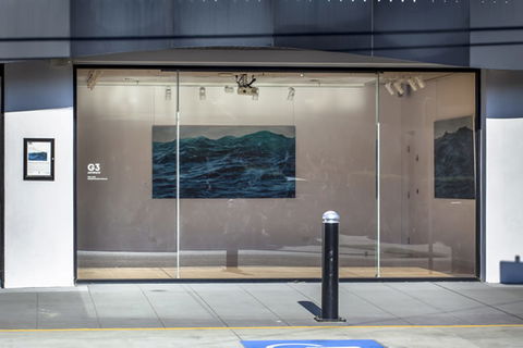 Kingston Arts - Darwin Holiday 4