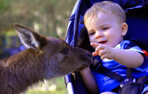 Australian Reptile Park - Darwin Holiday 6
