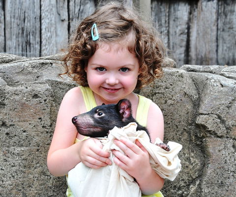 Australian Reptile Park - Darwin Holiday 8