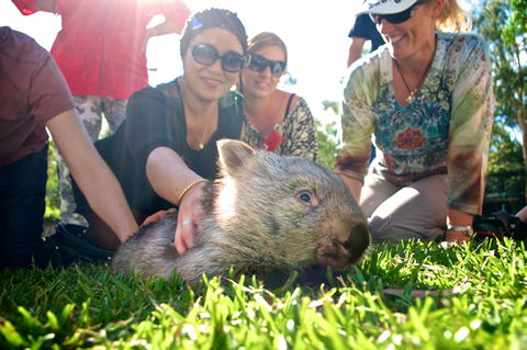 Australian Reptile Park - Darwin Holiday 10