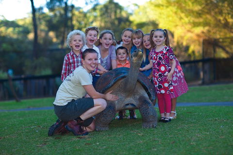 Australian Reptile Park - Darwin Holiday 11