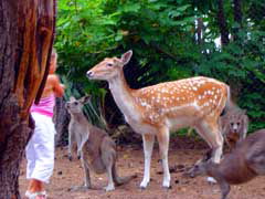 Birdland Animal Park - Darwin Holiday 4