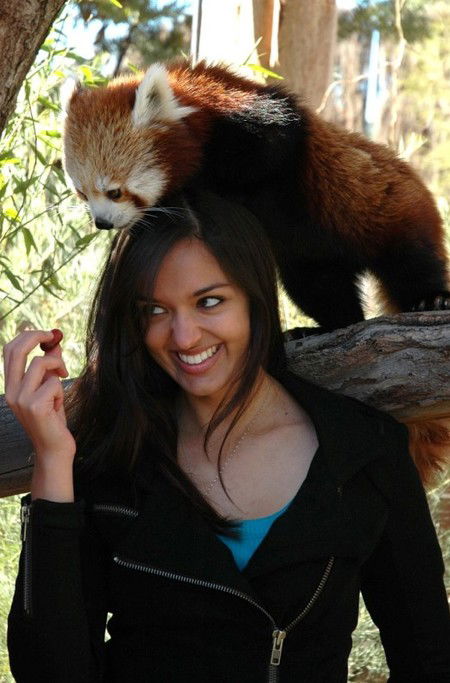 National Zoo & Aquarium - Darwin Holiday 8