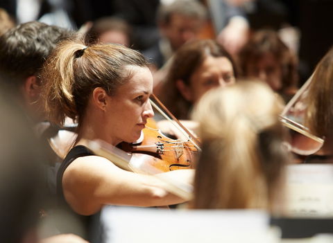 Sydney Symphony Orchestra - Darwin Holiday 3