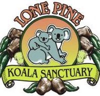 Lone Pine Koala Sanctuary - Darwin Holiday