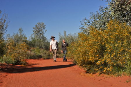 Alice Springs Desert Park - Darwin Holiday 3