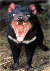 Zoo Doo Wildlife Park - Darwin Holiday 4