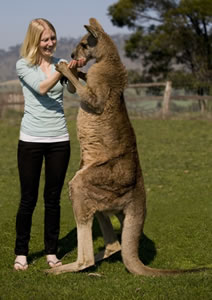 Zoo Doo Wildlife Park - Darwin Holiday 5