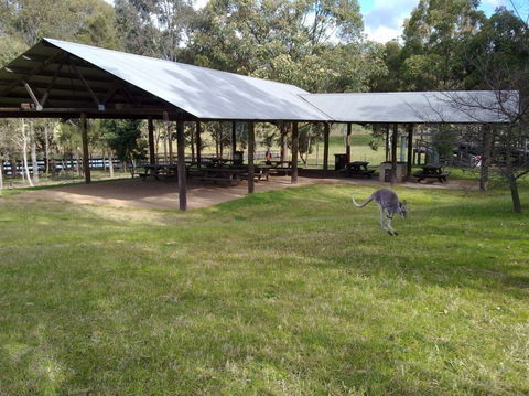 Calmsley Hill City Farm - Darwin Holiday 5