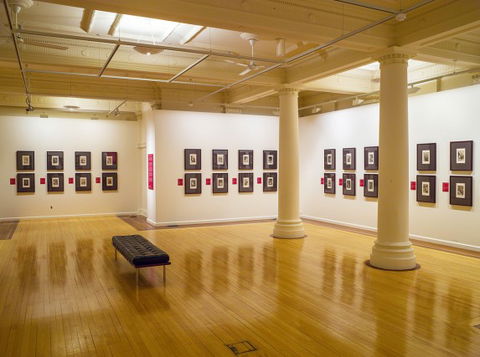 Cairns Regional Gallery - Darwin Holiday 2