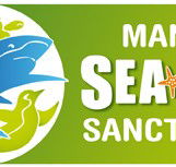 Manly SEA LIFE Sanctuary - Darwin Holiday