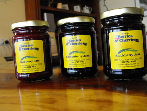 Blue Hills Berries & Cherries - Darwin Holiday 1