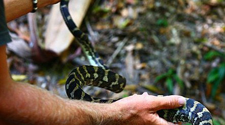 Queensland Day Tours - Darwin Holiday 1