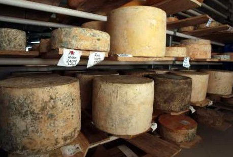 Witches Chase Cheese Co - Darwin Holiday 3