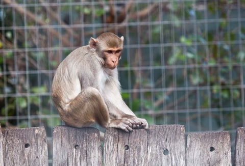 Darling Downs Zoo - Darwin Holiday 5